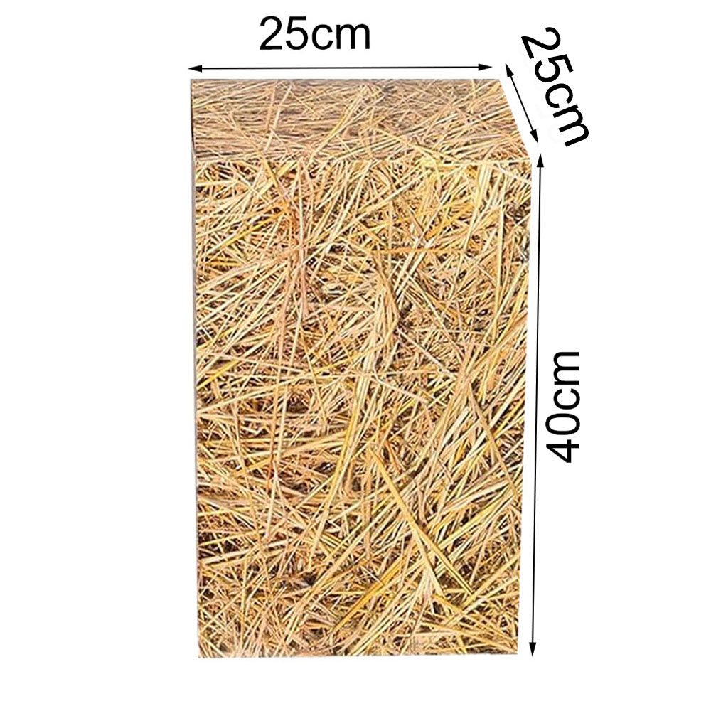 Western Cowboy Birthday Party  - Cowboy Hat Straw ulasan dan harga